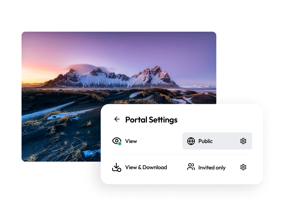 Branded asset management portal showing access control options with public, view/download, and invited-only sharing settings.
